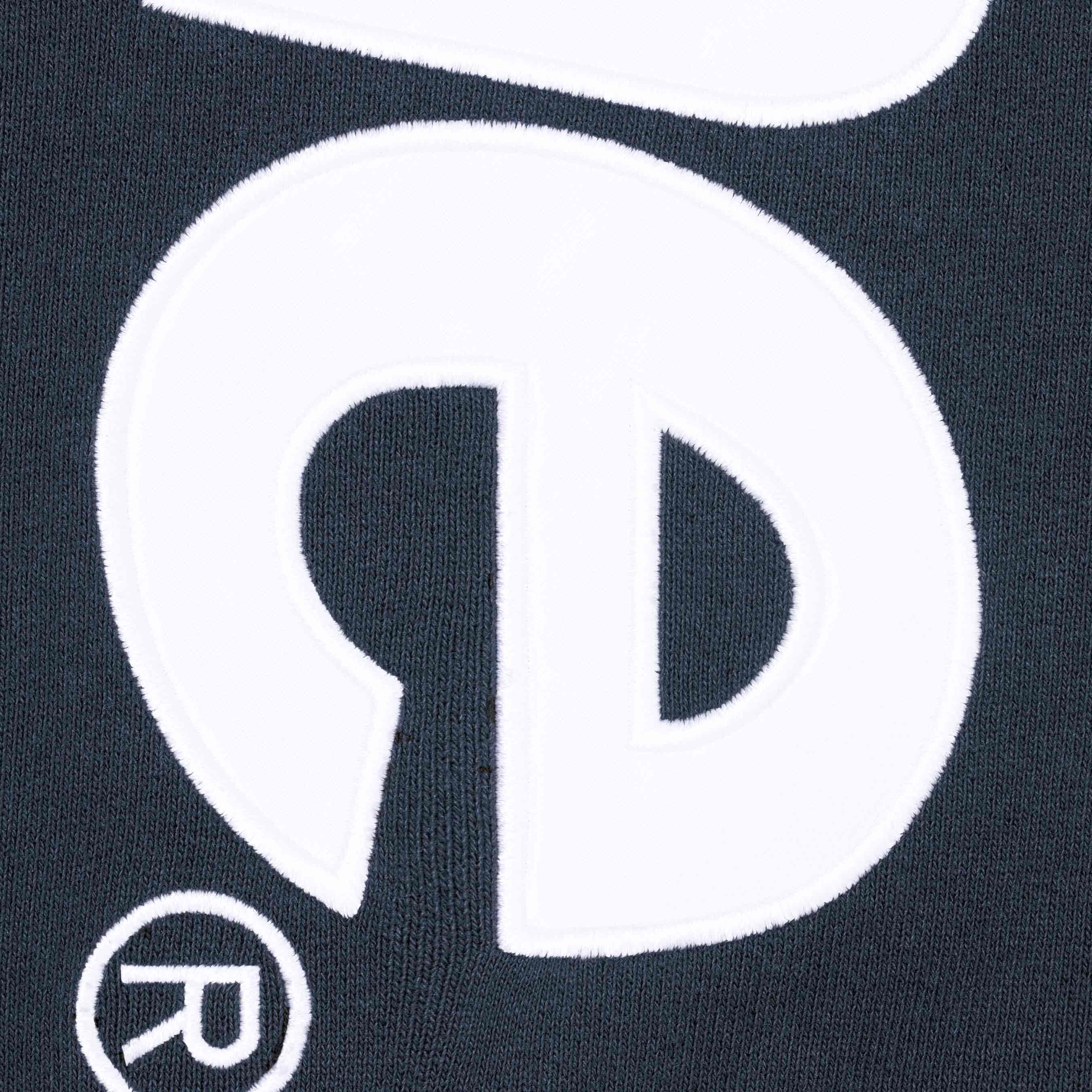 Satin Appliqué Hooded Sweatshirt view 16